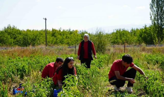 Erzincan’da meslek lisesi öğrencileri hem öğreniyor hem de kazanıyorlar