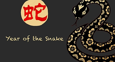 Google’dan Eğlenceli Bir Çin Yeni Yılı Sürprizi: Year of the Snake Oyunu!